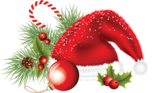 noel_bonnet